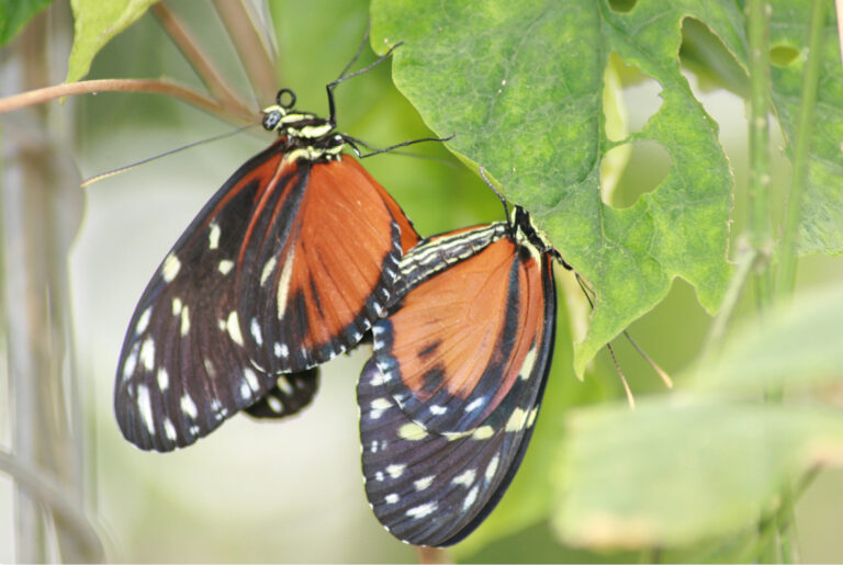 foto's slide show reggedal appartementen18