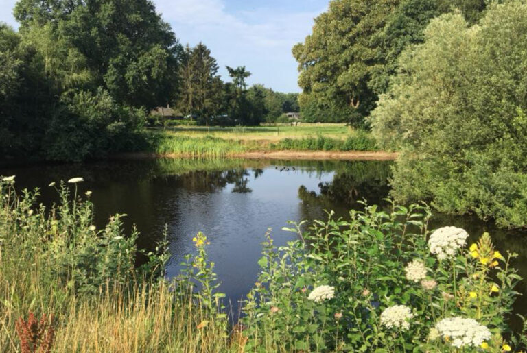 foto's slide show reggedal appartementen5