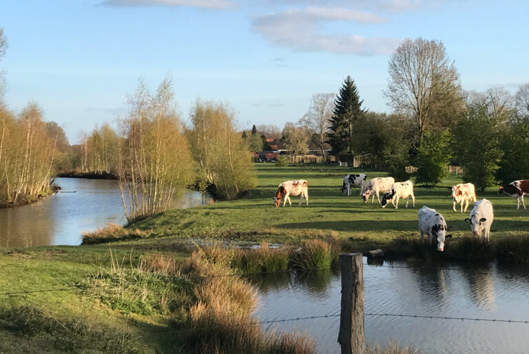 foto's slide show reggedal appartementen6